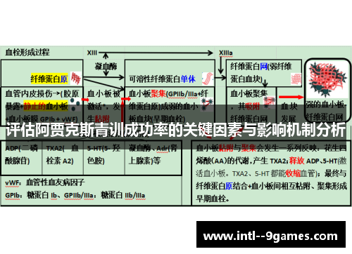 评估阿贾克斯青训成功率的关键因素与影响机制分析