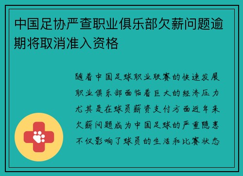 中国足协严查职业俱乐部欠薪问题逾期将取消准入资格 中国足协严查职业俱乐部欠薪问题逾期将取消准入资格