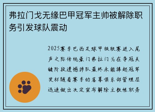 弗拉门戈无缘巴甲冠军主帅被解除职务引发球队震动